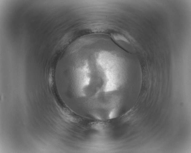 X0000067350074200604071436