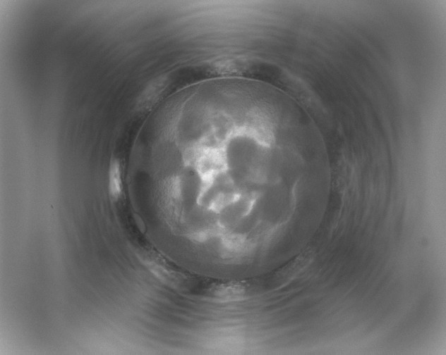 X0000067350075200604071436