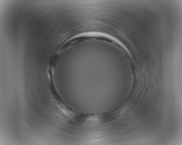 X0000067350076200604071436