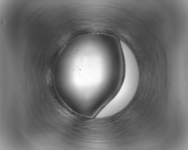 X0000067350077200604071436