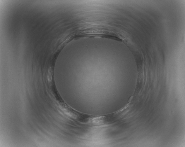 X0000067350078200604071436