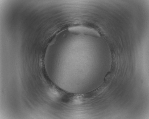 X0000067350080200604071436