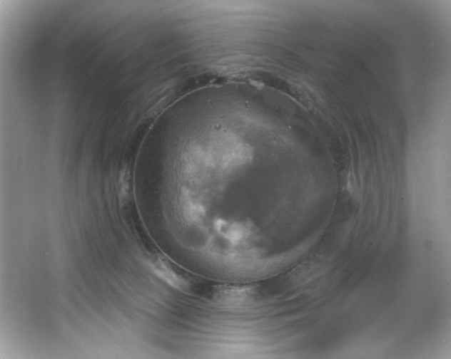 X0000067350081200604071436