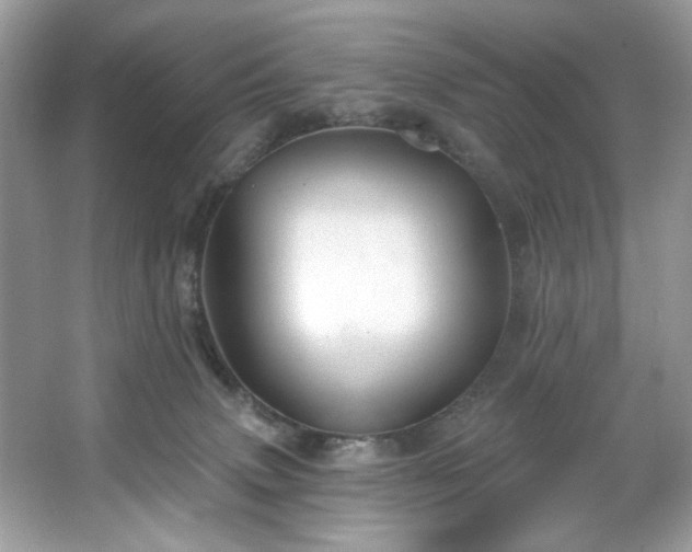 X0000067350083200604071436