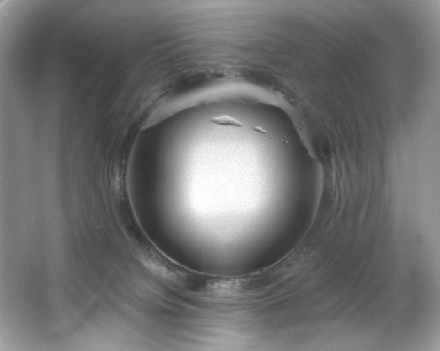 X0000067350084200604071436