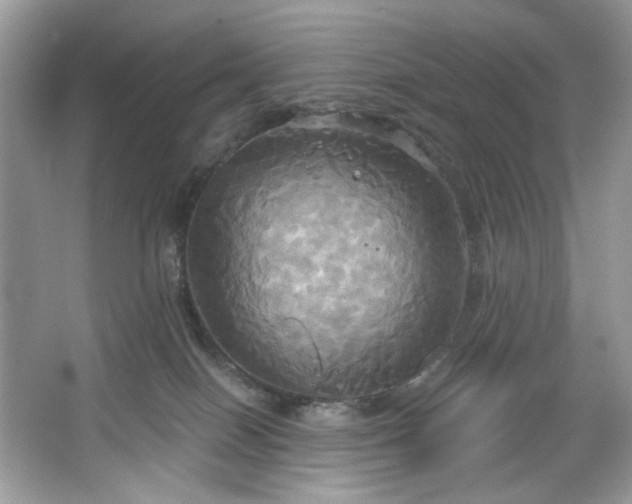 X0000067350086200604071436