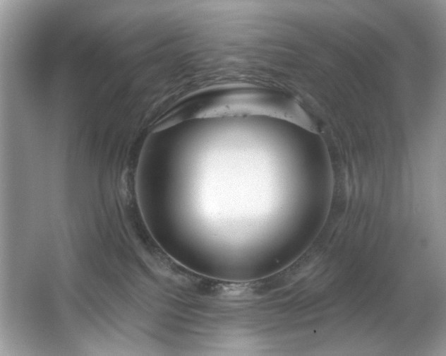 X0000067350088200604071437