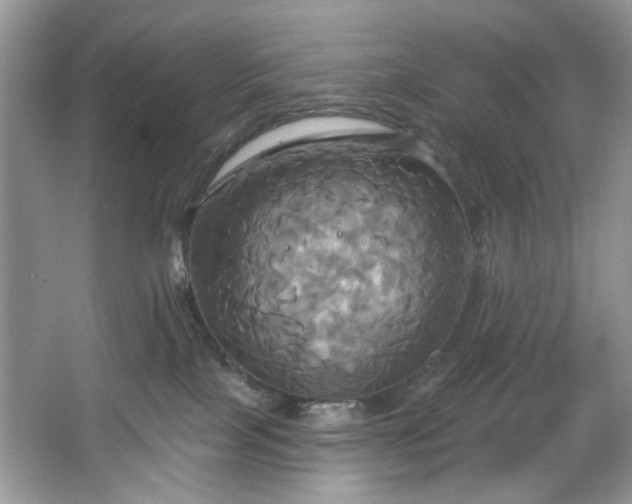 X0000067350089200604071437