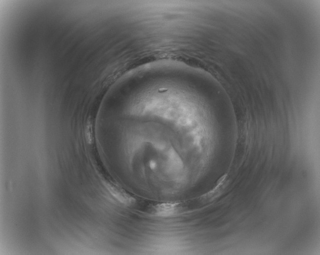 X0000067350090200604071437