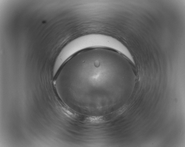 X0000067350093200604071437