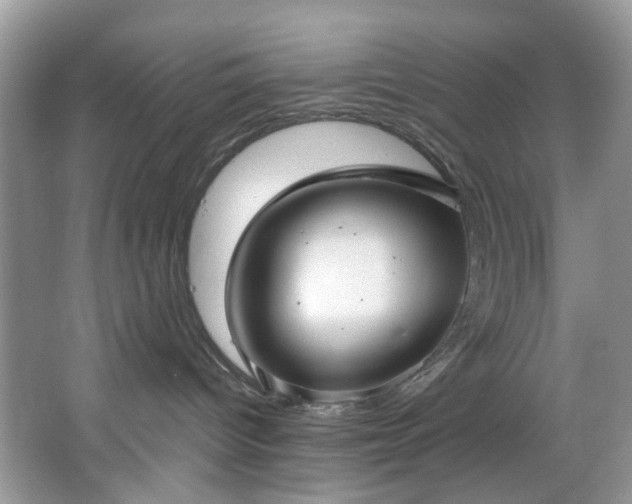 X0000067350096200604071437