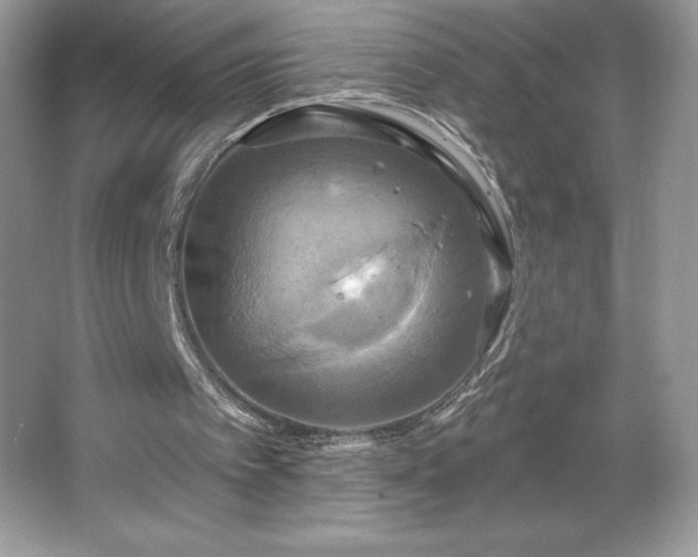 X0000067350097200604071436