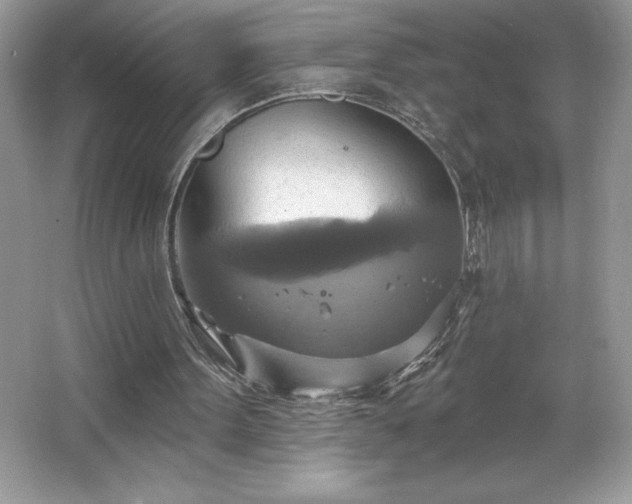 X0000067350099200604071436