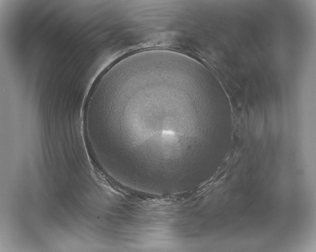 X0000067350100200604071436