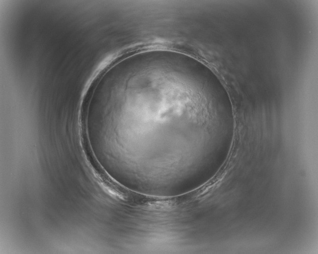 X0000067350102200604071436