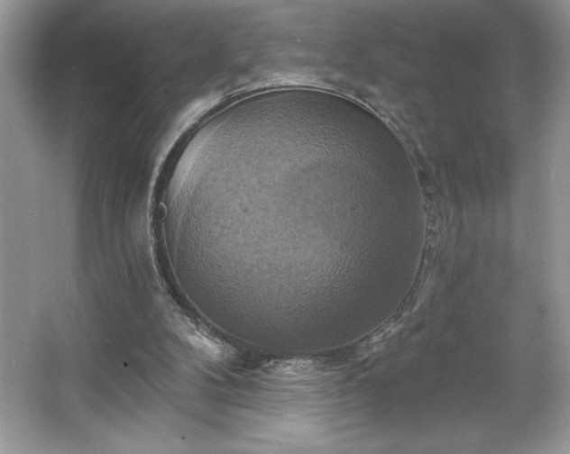 X0000067350104200604071436