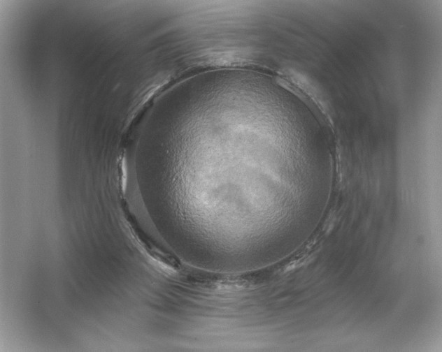 X0000067350105200604071436