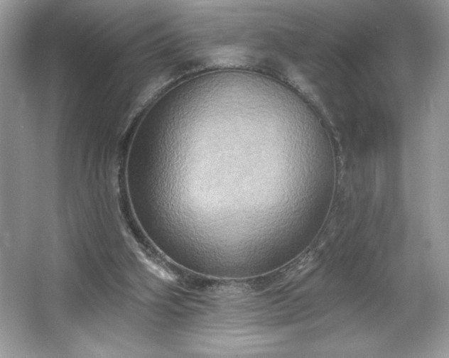 X0000067350106200604071436