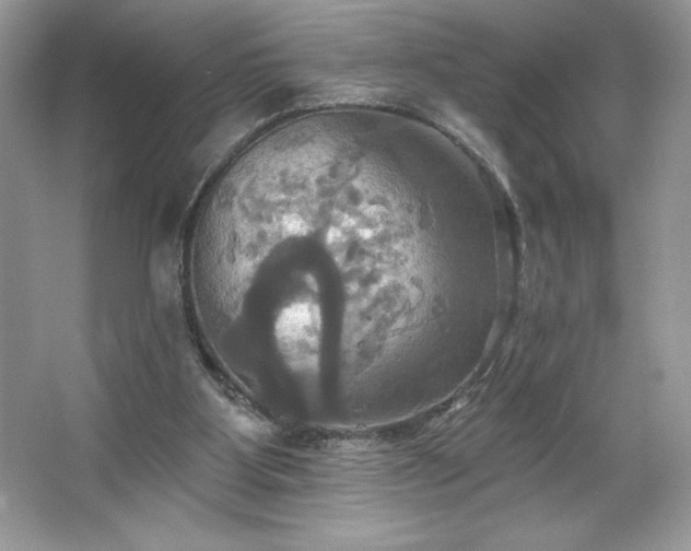 X0000067350107200604071436