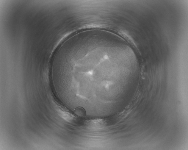 X0000067350108200604071436