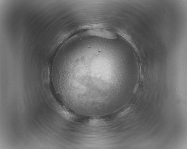 X0000067350109200604071436