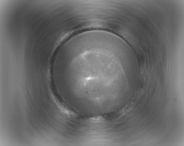 X0000067350112200604071436