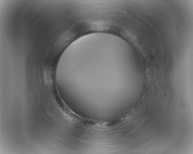 X0000067350114200604071436