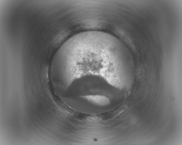 X0000067350115200604071436