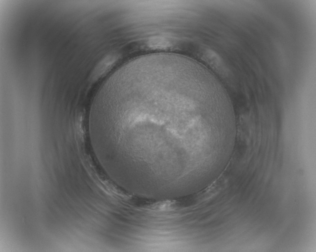 X0000067350116200604071436