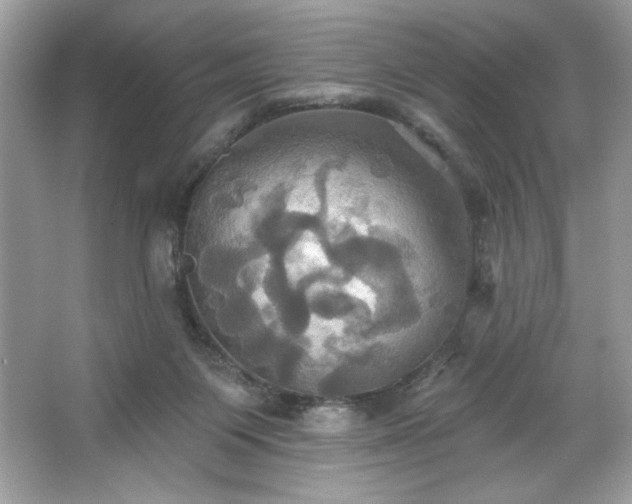 X0000067350119200604071435