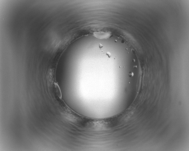 X0000067350121200604071435