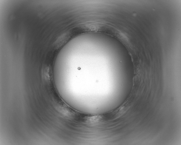 X0000067350122200604071435