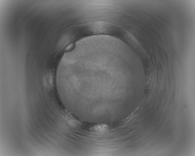 X0000067350124200604071435