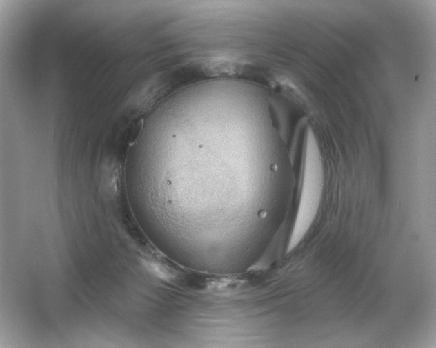 X0000067350125200604071435