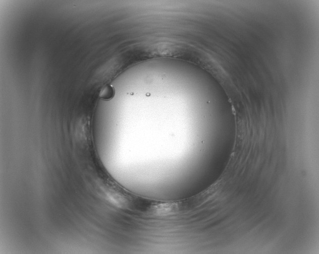 X0000067350126200604071435