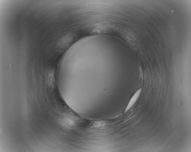 X0000067350127200604071435