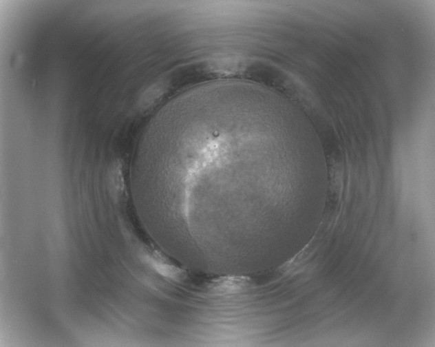 X0000067350128200604071435