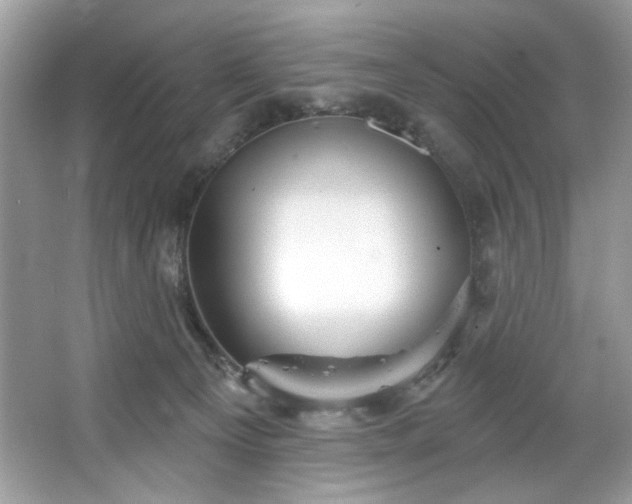 X0000067350129200604071435