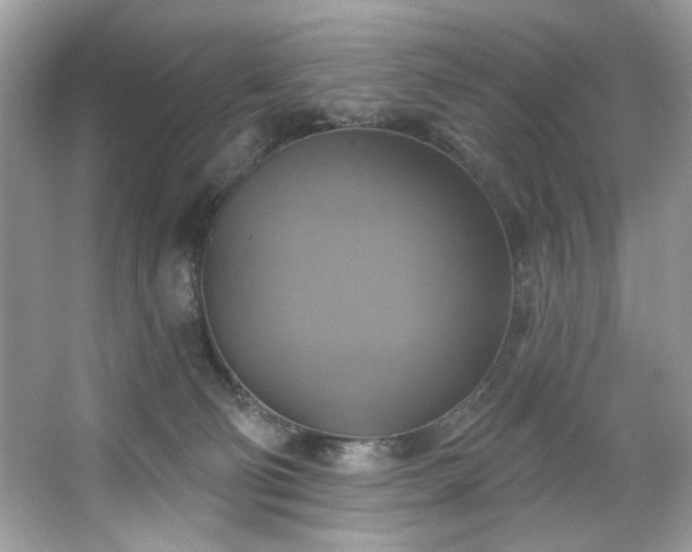 X0000067350130200604071435