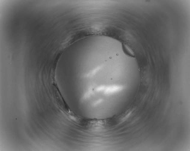 X0000067350131200604071435