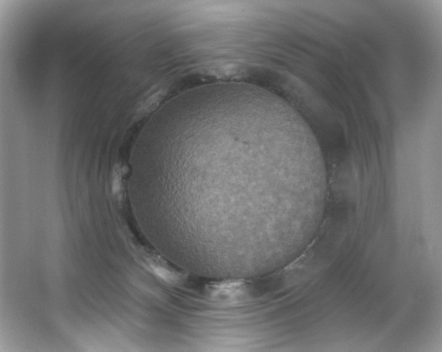 X0000067350132200604071435