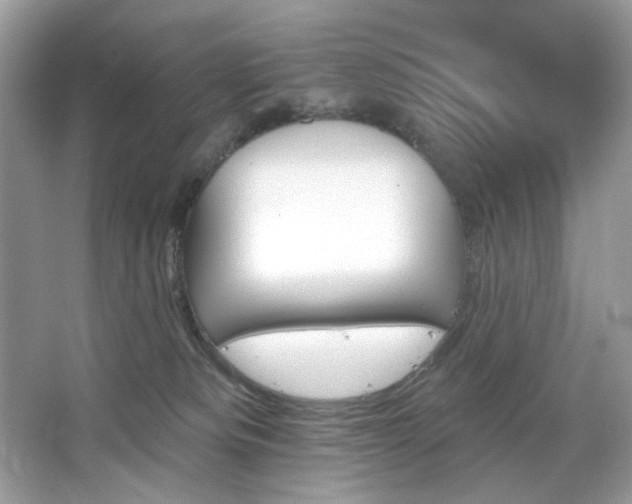 X0000067350133200604071435