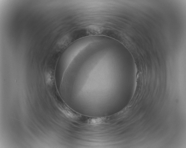 X0000067350134200604071435