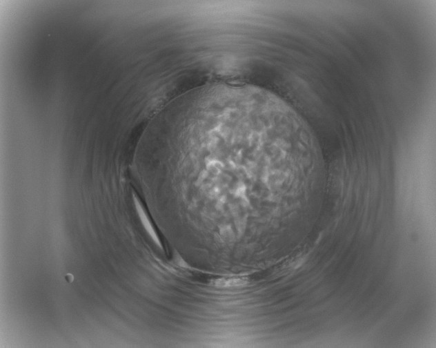 X0000067350135200604071435