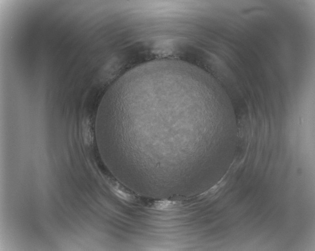 X0000067350136200604071435