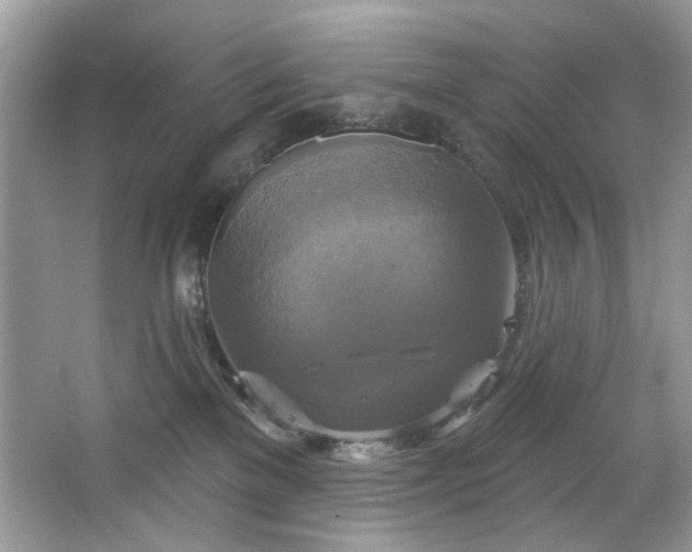 X0000067350137200604071435