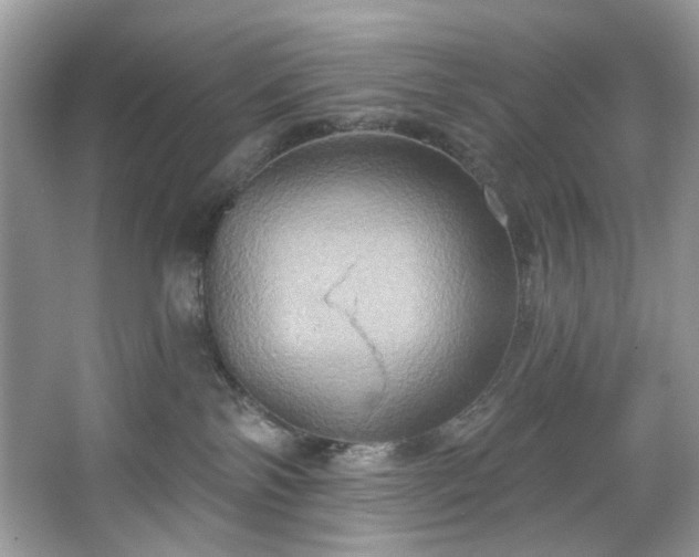 X0000067350138200604071435