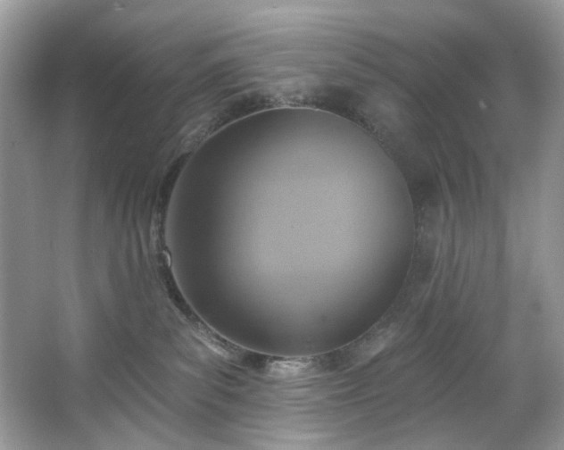 X0000067350139200604071435