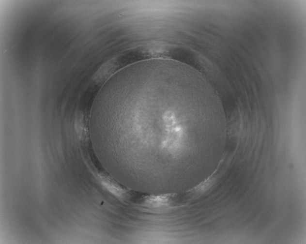 X0000067350140200604071435