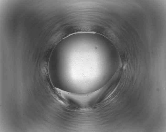 X0000067350141200604071435